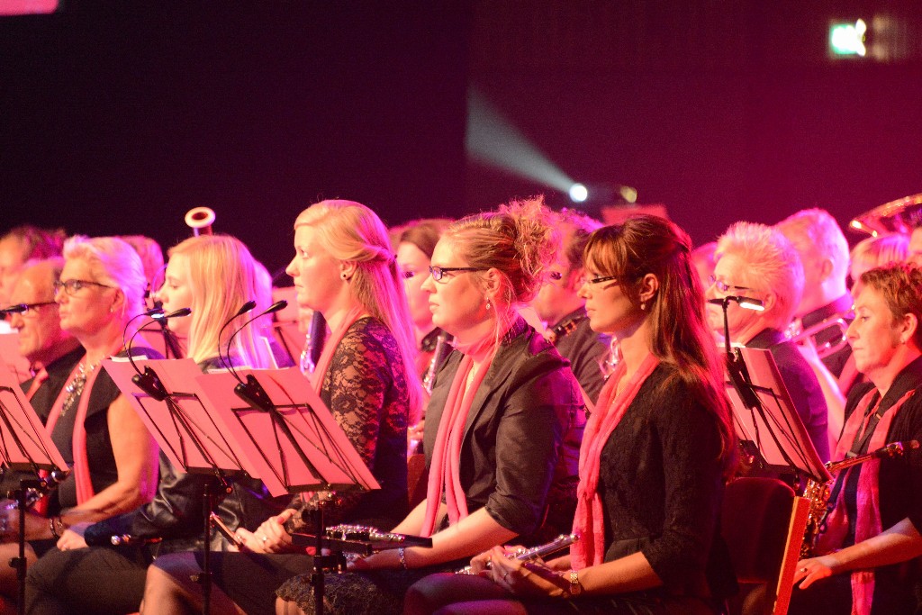 ../Images/Jubileumconcert 100 jaar Harpe Davids 079.jpg